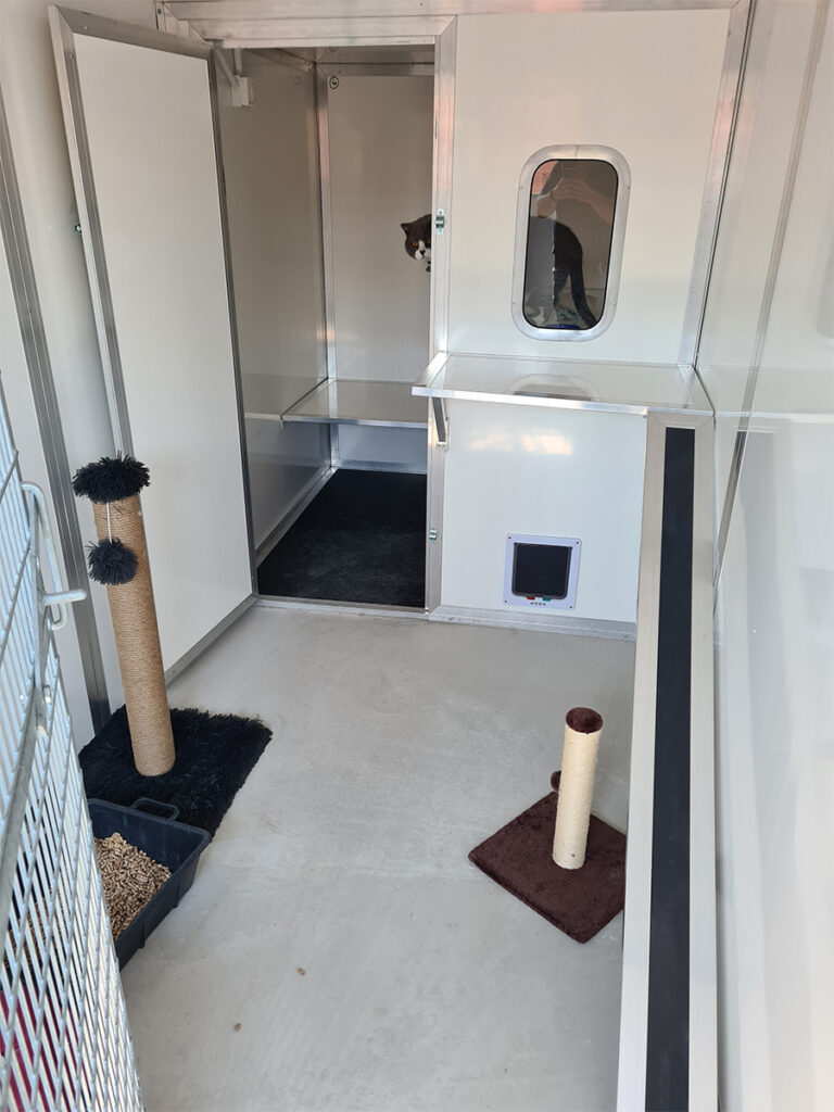 cattery